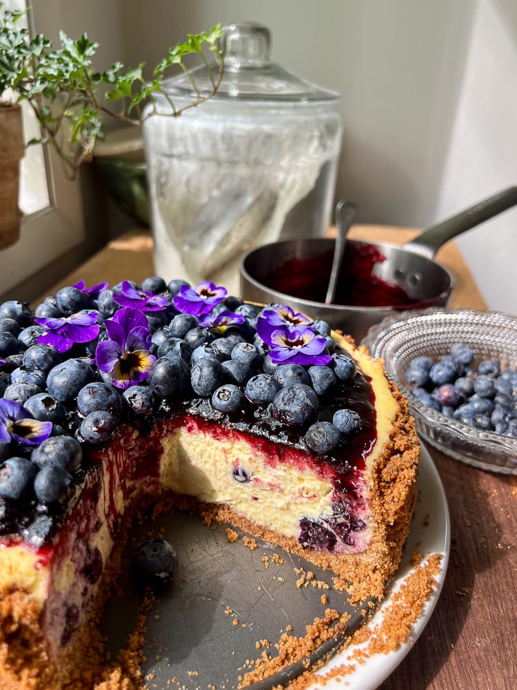 blueberry-cheesecake-1
