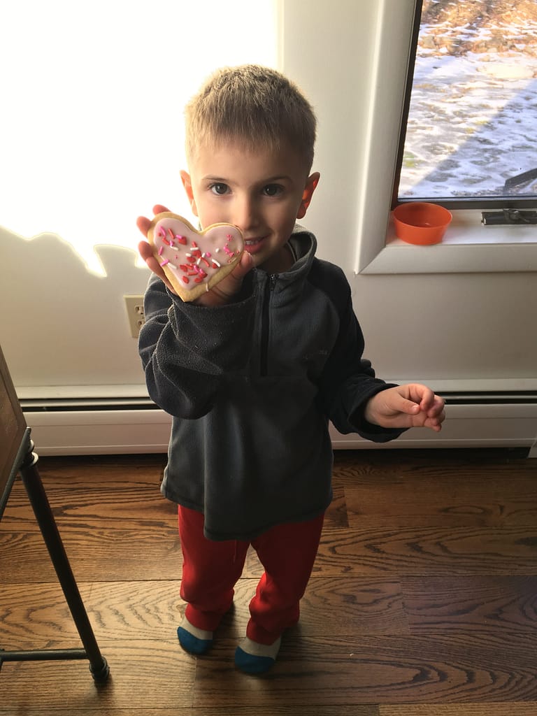 Almond Sugar Cookie Cut-outs